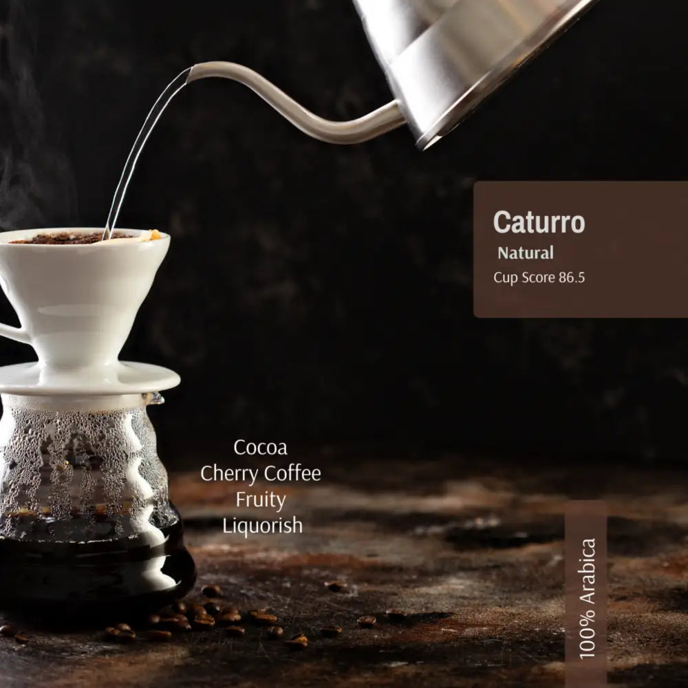 Caturro Coffee - Natural Process Medium Roast - Caturro Coffee Natural Process