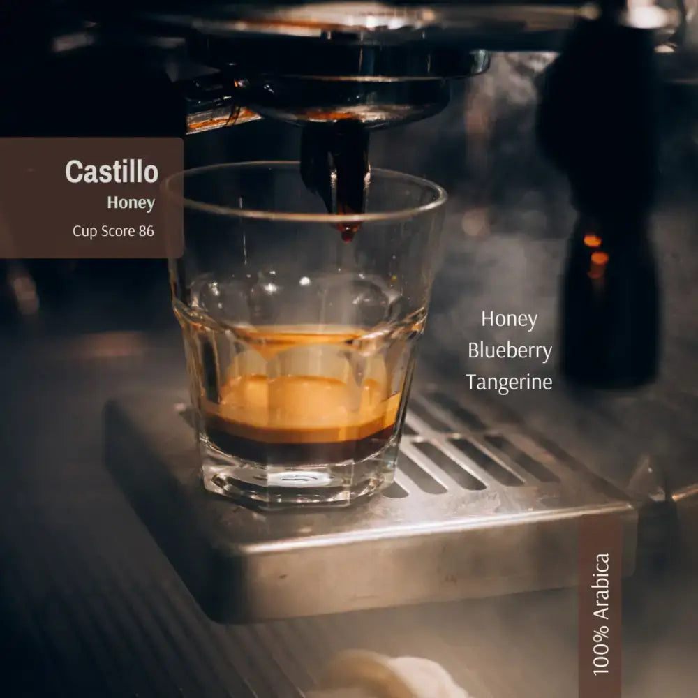 Honey - 40g Coffee Sampler - Whole Bean - Castillo Coffee Honey Process