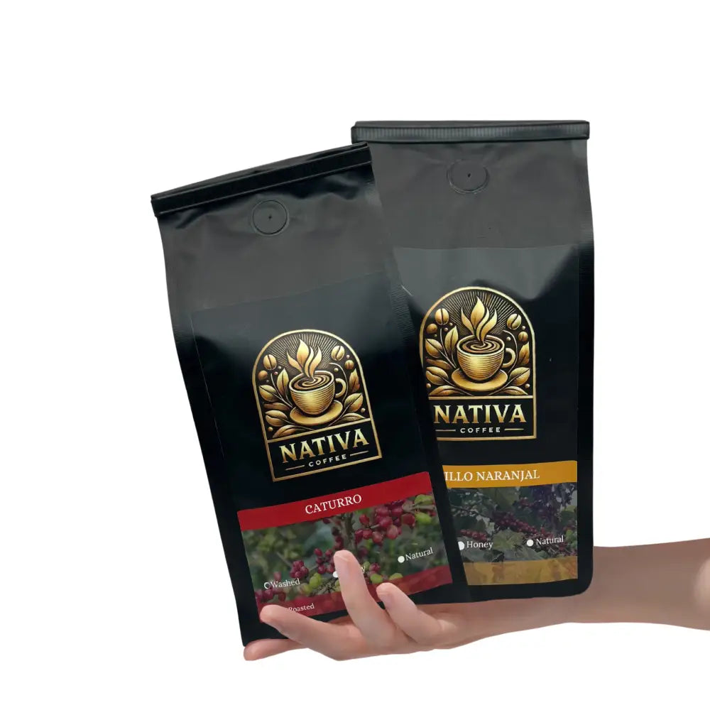 Primavera Cafetera | Castillo and Caturro