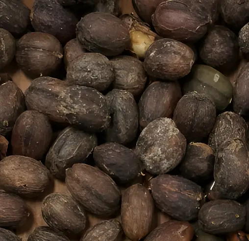 Natural Process