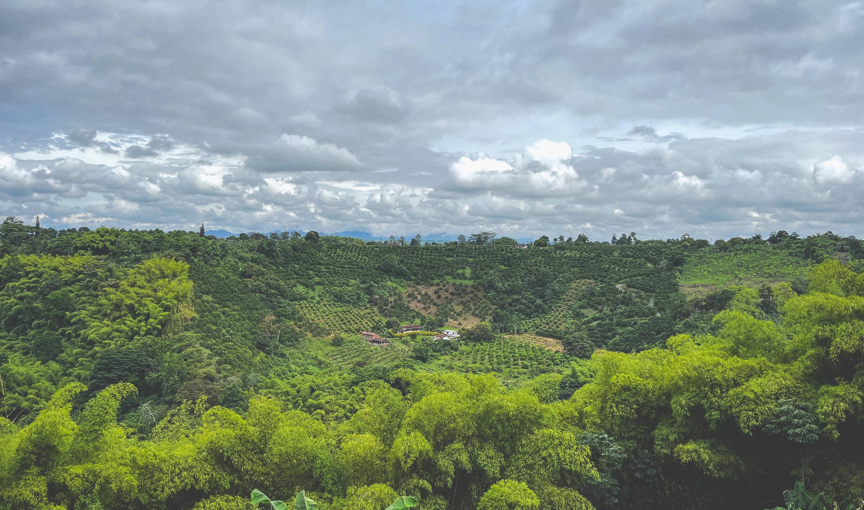 photo from Eje Cafetero, shoot take it by Nativa in September 2025