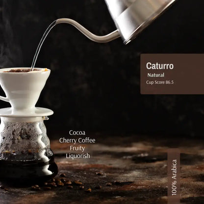 Caturro Natural - 40g Coffee Sampler - Caturro Coffee Natural Process