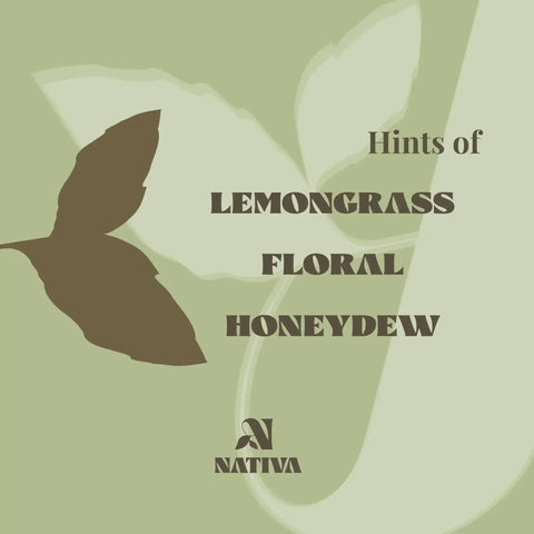 Gehsa Bloom Product label with lemongrass, floral, and honeydew notes on a green background with a leaf silhouette.