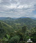 Gesha Bloom - Gesha Coffee Washed Process