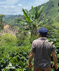 Golden Hour - Castillo Coffee Honey Process