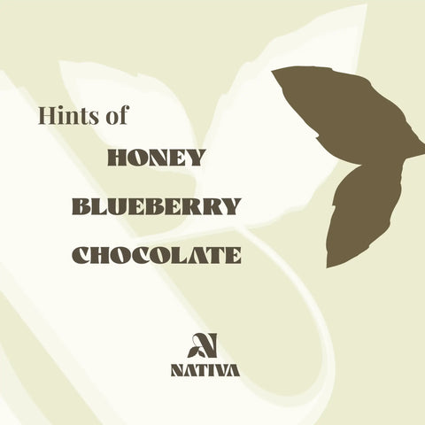 Golden Hour Product with 'Nativa' branding and text 'Hints of Honey Blueberry Chocolate' on a beige background.