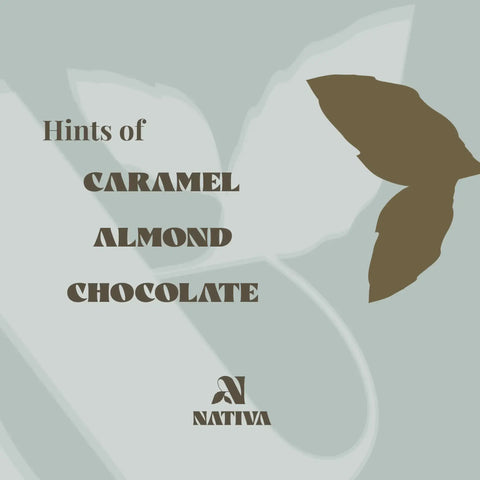 Mountain Peak Product packaging with 'Nativa' brand and text 'Hints of Caramel Almond Chocolate' on a light gray background.