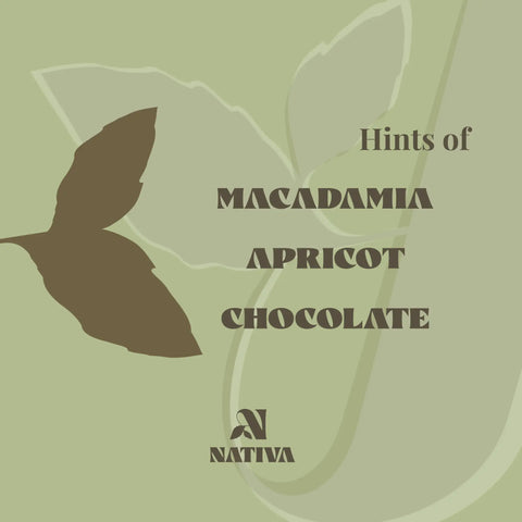 Coffee 'Mystic Valley' description of flavor. Hints of Macadamia, Apricot and Chocolate.