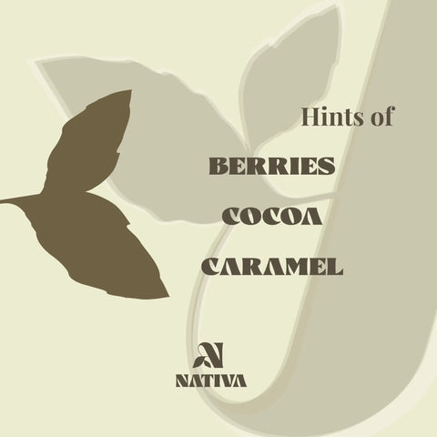Product label with silhouette of a leaf and text 'Hints of Berries, Cocoa, Caramel' by Nativa on a beige background.